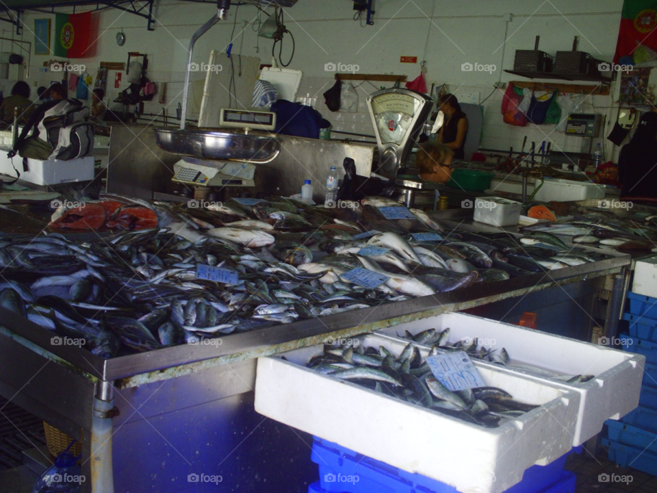 market wholesale fish fresh every day by pawright68