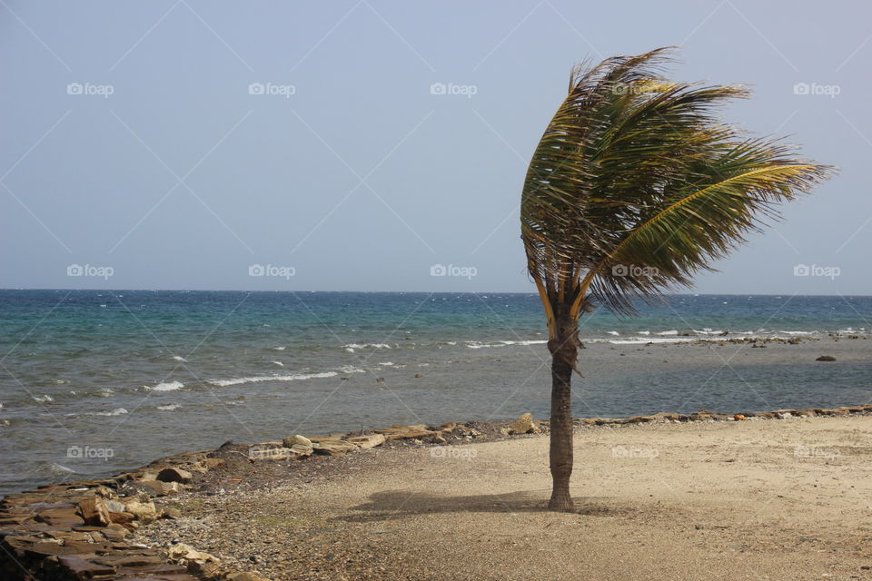 Windy on the beach