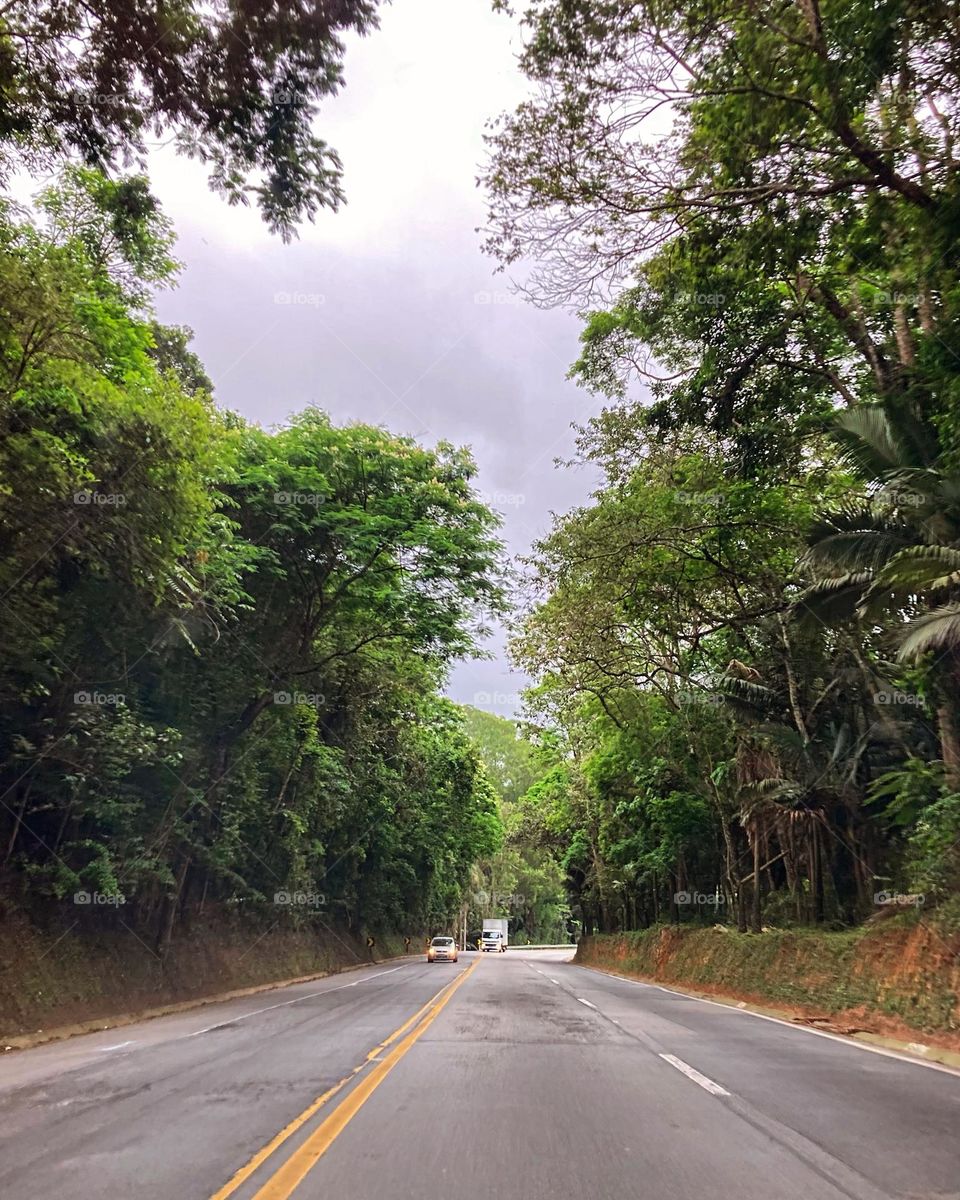 Apesar do dia nublado, a 4ª feira está bonita. 
O verde no horizonte não inspira?
📸
#FOTOGRAFIAéNOSSOhobby
#amanhecer #morning #estrada #sky #céu #natureza #horizonte #fotografia #paisagem #landscapes #inspiração #mobgrafia #XôStress