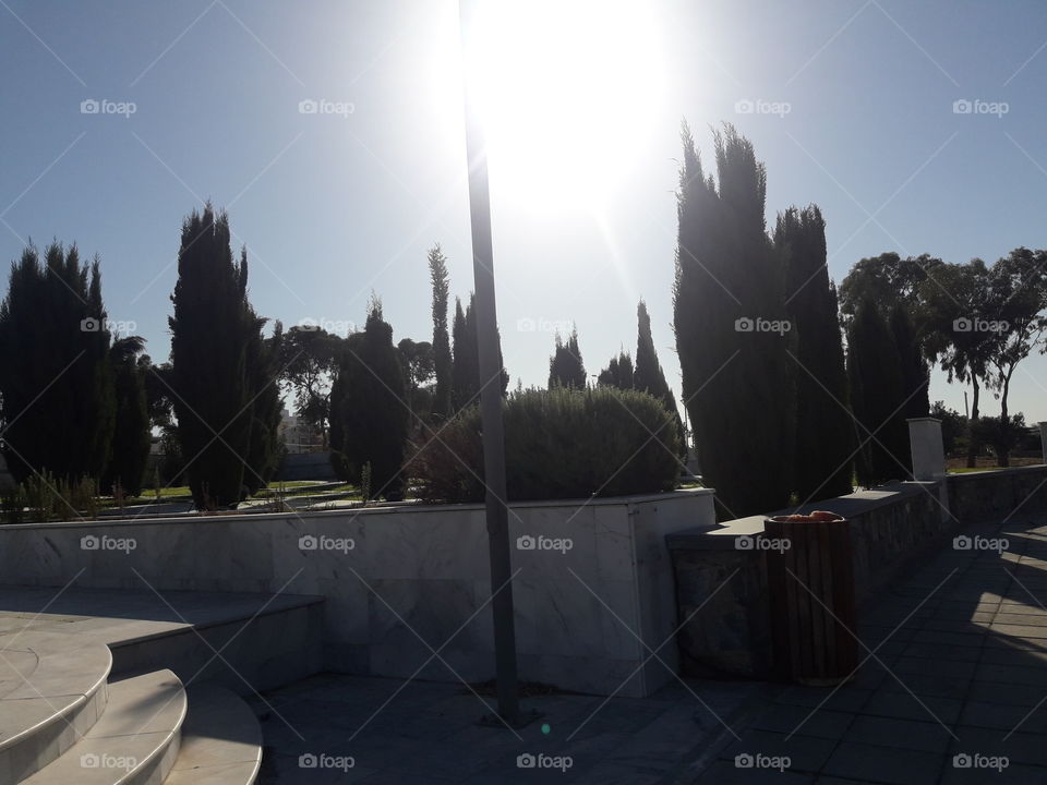 a one beautifyl day with super sun shine a d one beautiful place with big tree