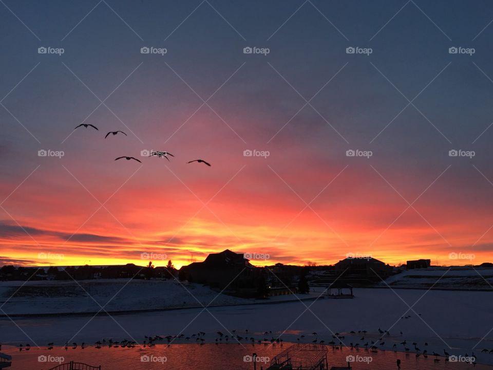 Sunset, Dawn, Water, Evening, Dusk