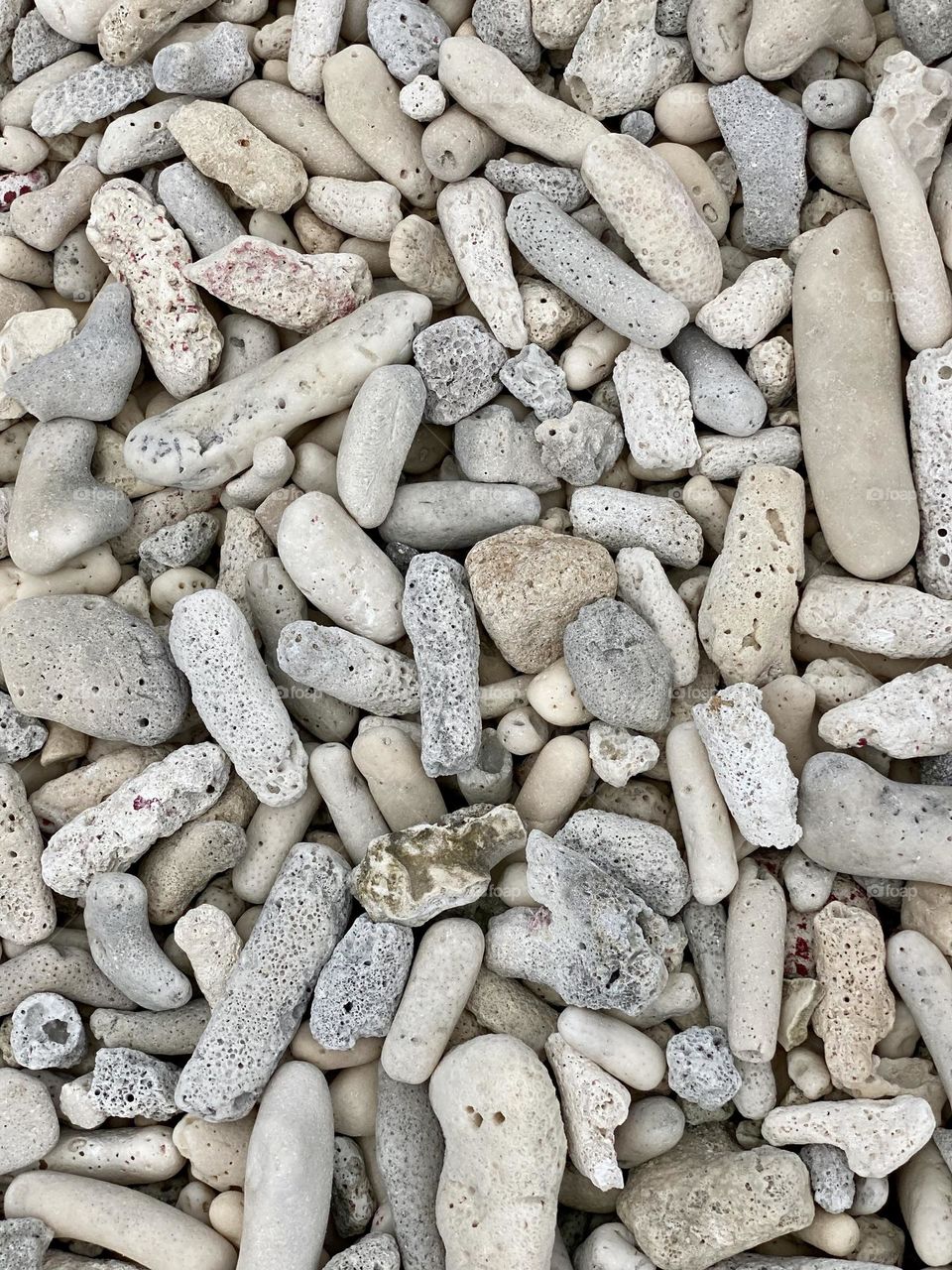 A close-up of the beach comprised of small pieces of coral