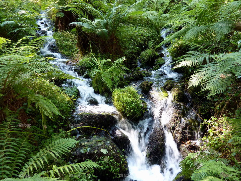 Becky Falls, Dartmoor, UK