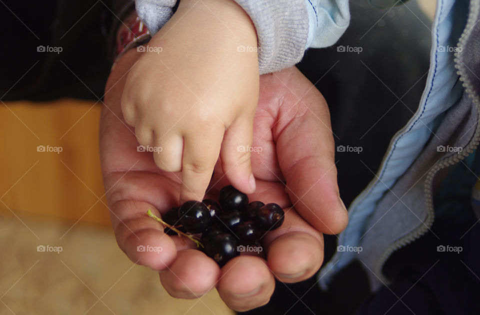 Berries in the hands