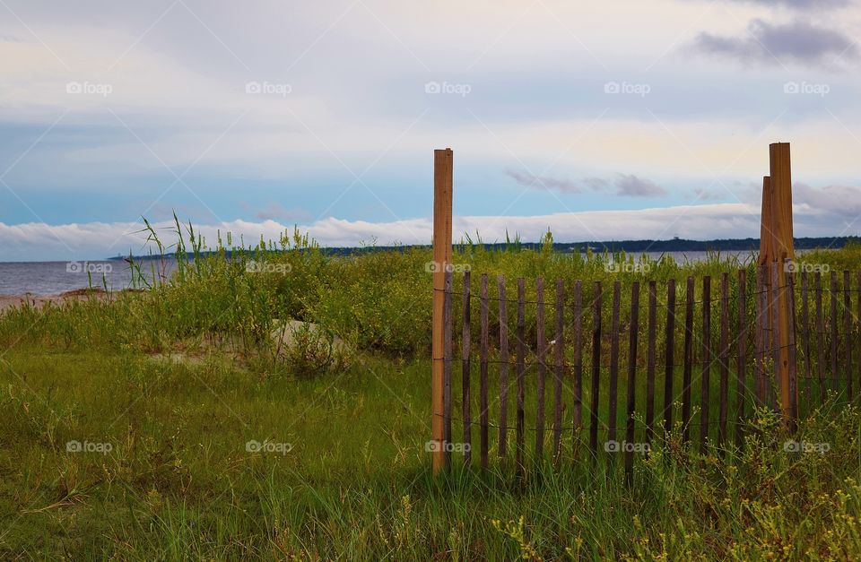 View of fence on grass field