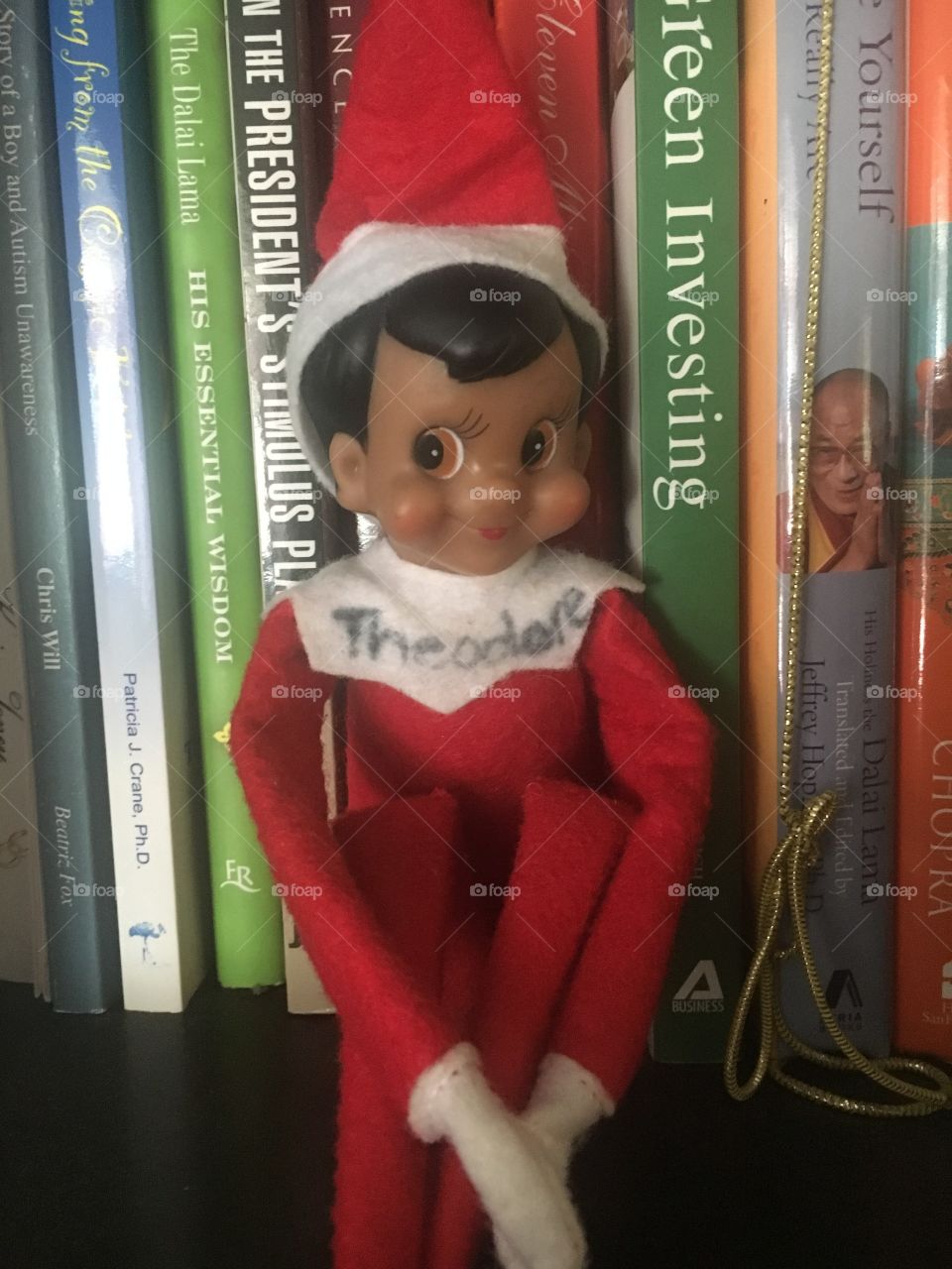 Theodore, My Elf on the Shelf