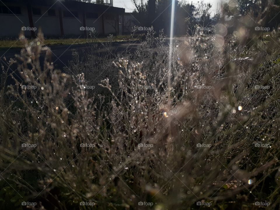 Nature, Landscape, Winter, Frost, Weather