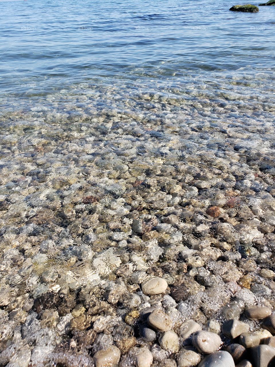 Rocky Shore underwater