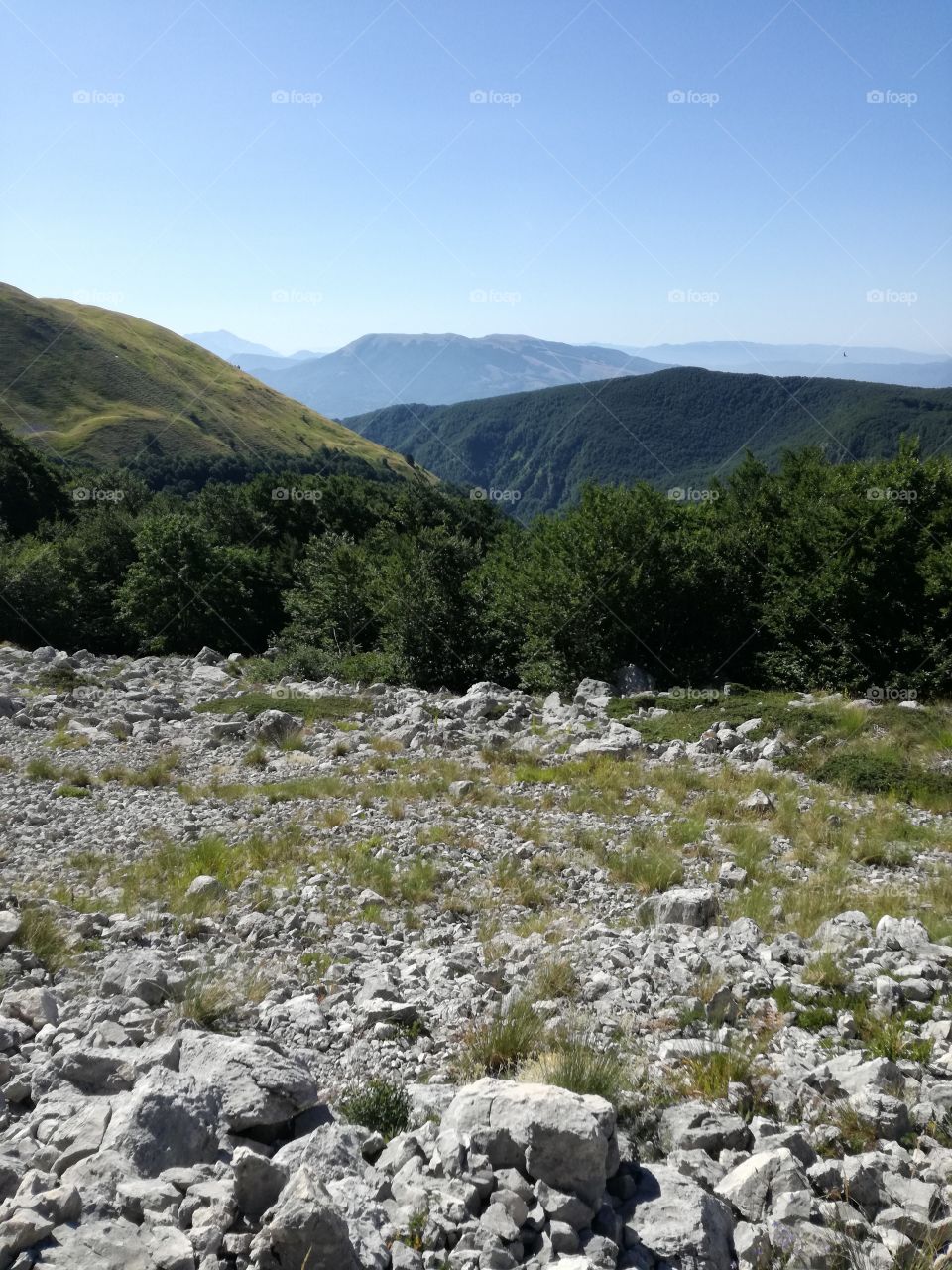 Mountain in the summer