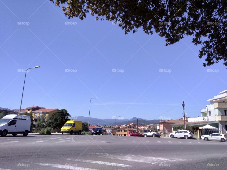 Editors' Choice: Photo of the Week