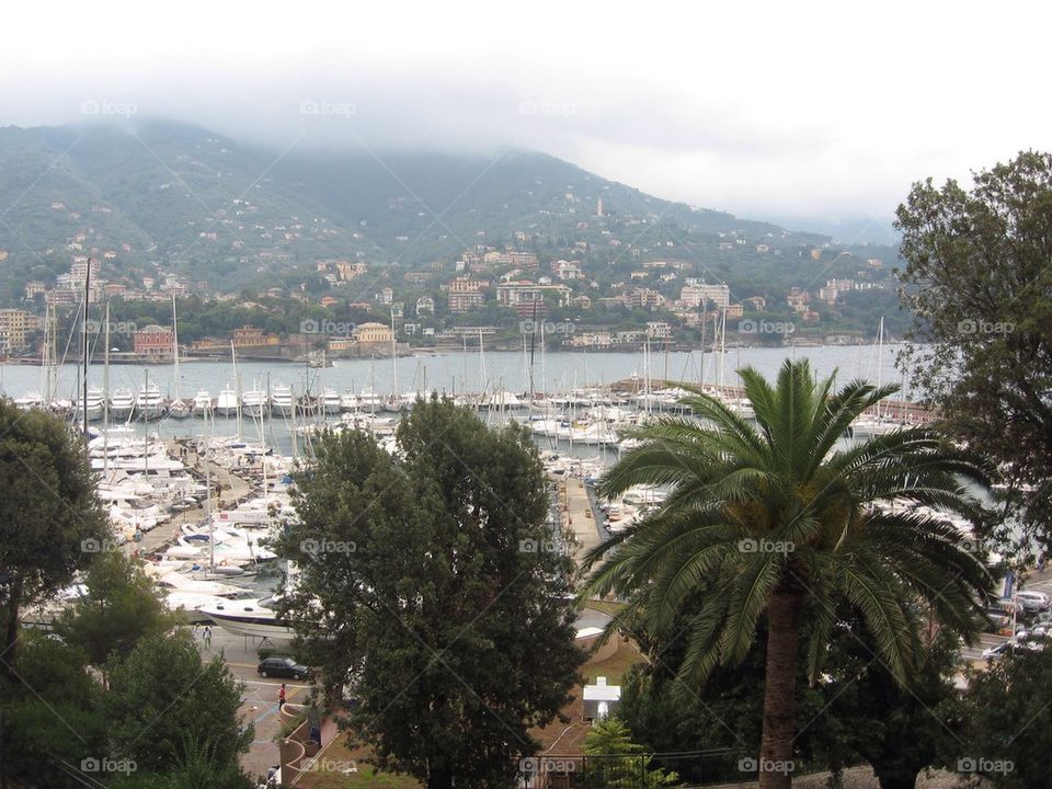 View form a hotel room