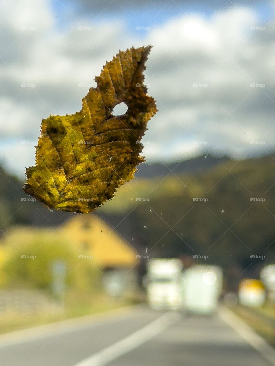 The journey of a leaf carried by the wind on a car windshield 