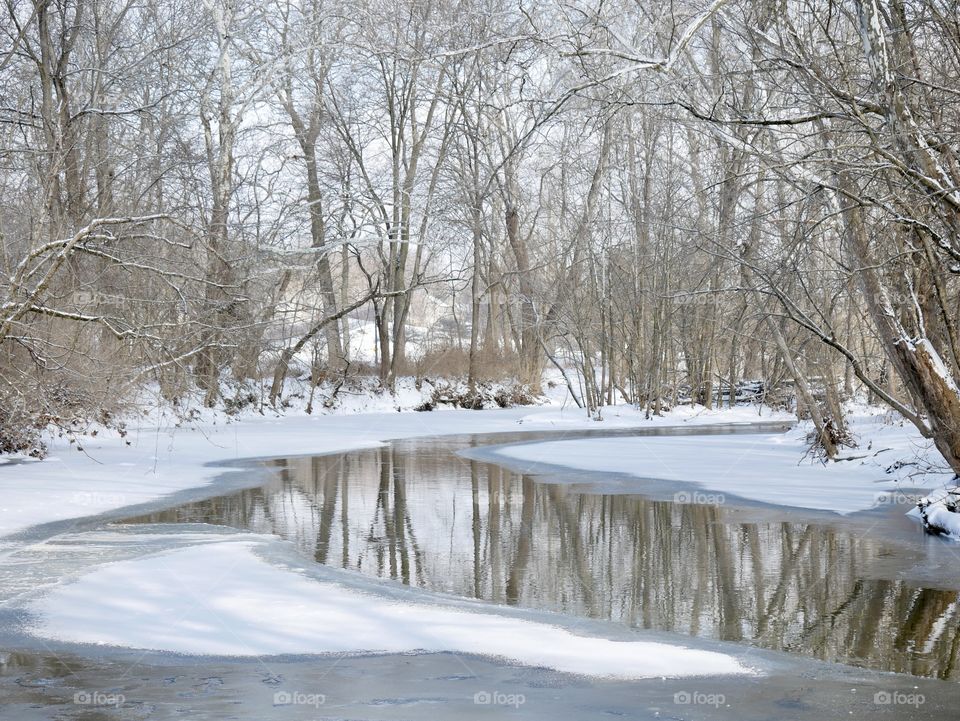 A walk through a winter wonderland, minutes into the local downtown area. Ice, snow, trees, water, and a little wildlife for good measure!