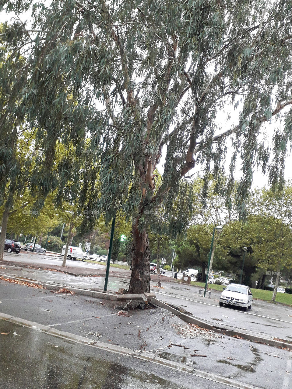 When nature take its course