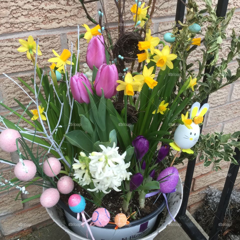 Flower, Easter, Tulip, Bouquet, Garden