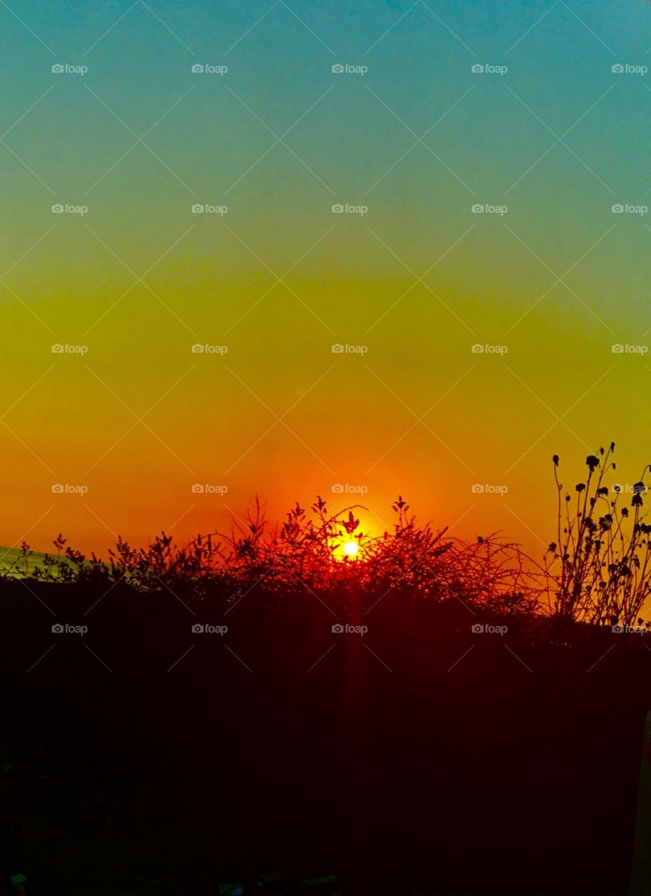 Paphos Sunset Lover 2020