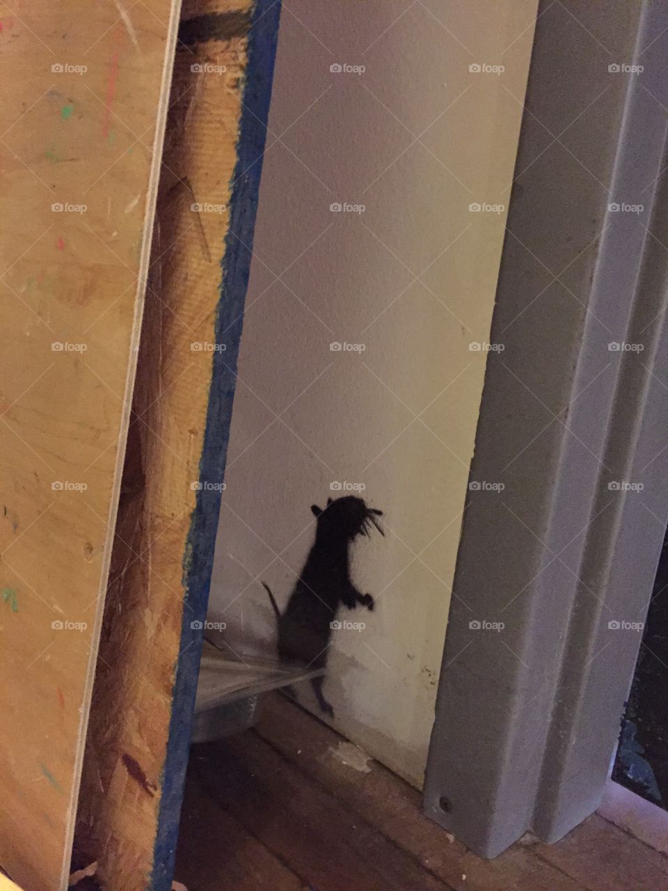 People, One, Building, Painting, Adult