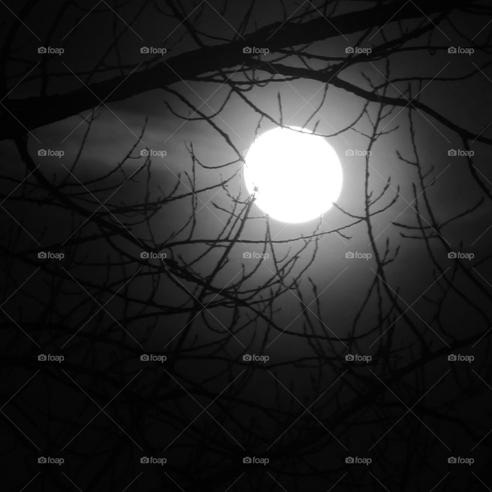 Mond ist eingefangen