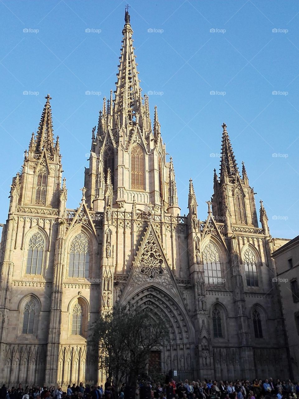 Catedral