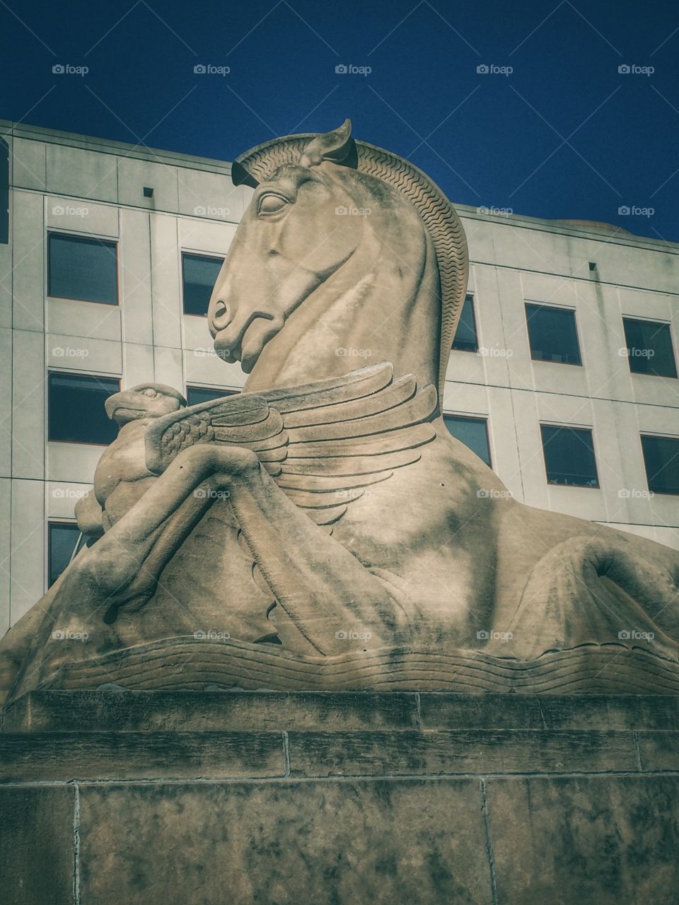 Limestone horse and eagle at the War Memorial building v2