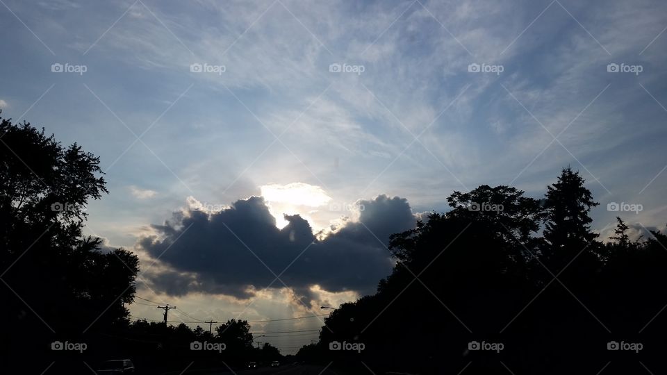 Bird Cloud