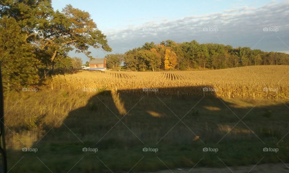 Truck Silhouette in the Fall Cornfields.