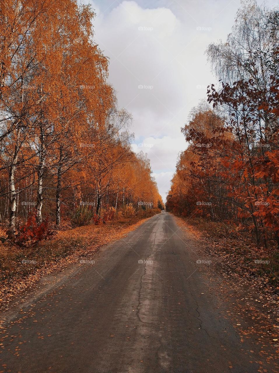 Golden autumn, how beautiful you are, but instead, notes of depression are inherent