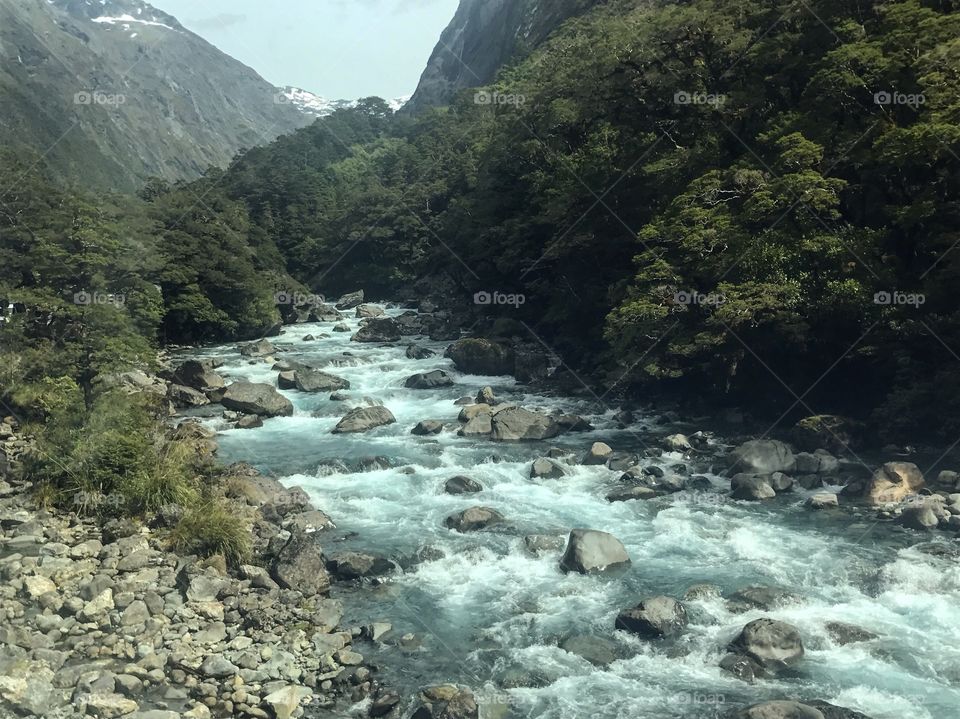 Fiordland, New Zealand, February 2017
