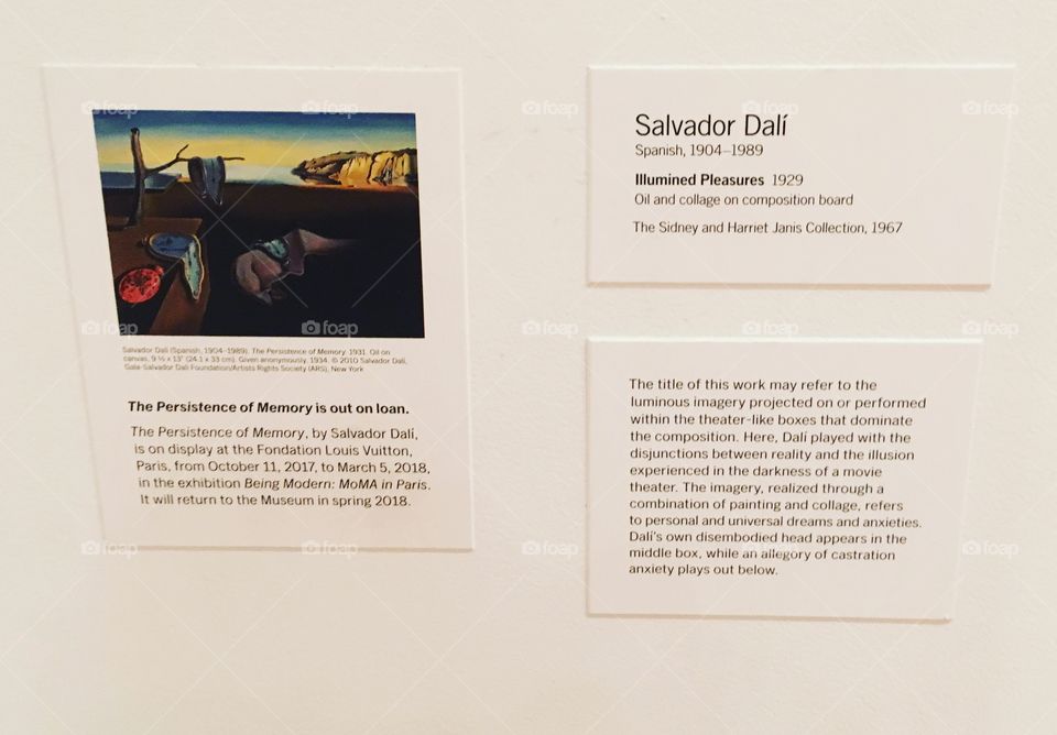 Salvador Dalí - Museum of Modern Art - MoMA - Manhattan - New York City 