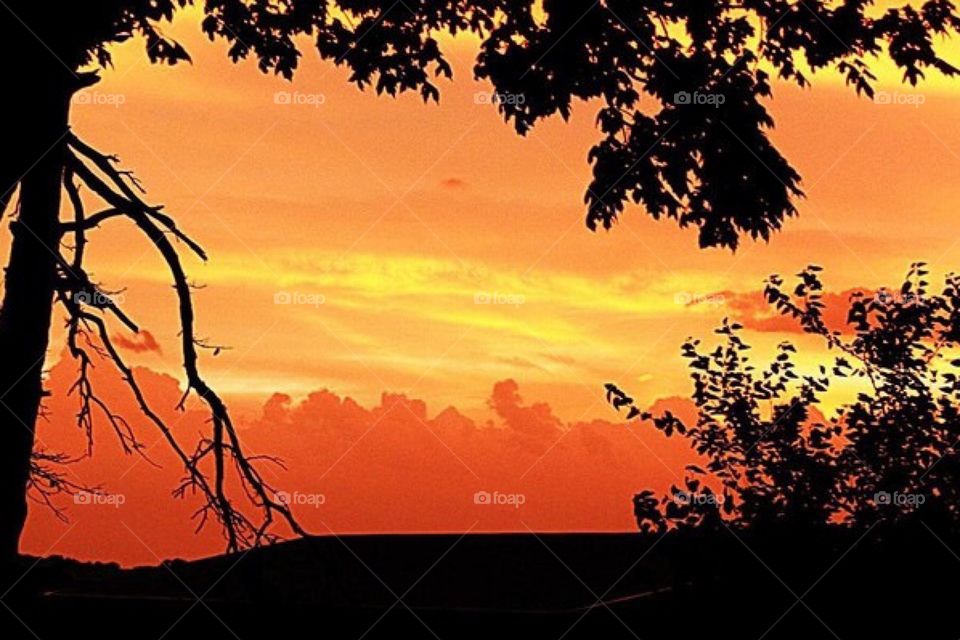 Gorgeous Orange sunset 