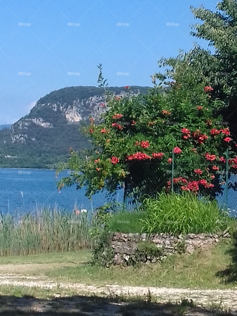 Garda lake