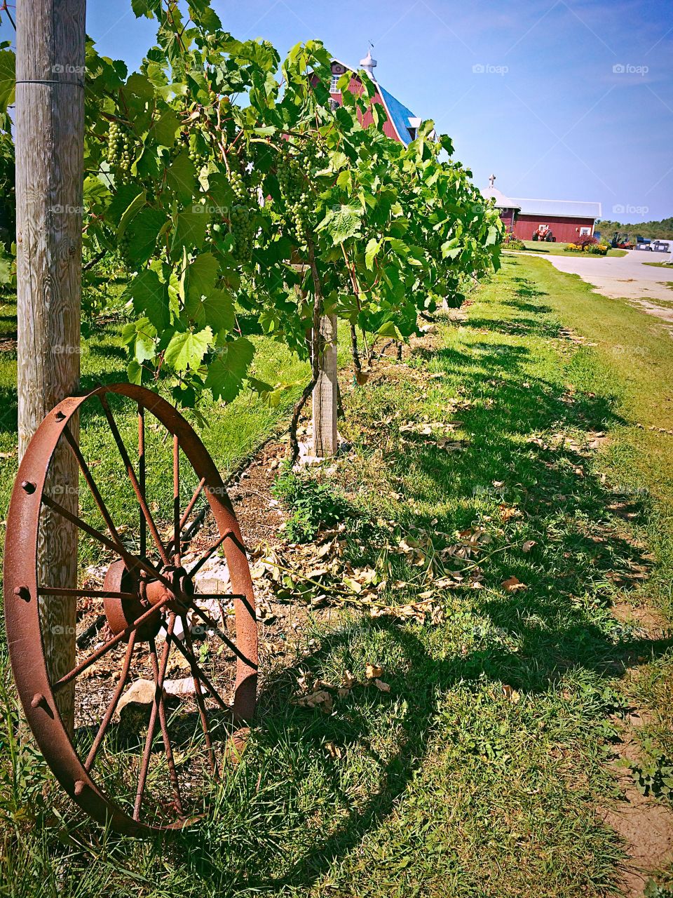 Winery wheel.