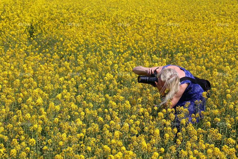 Photographer and Rapeseed field 