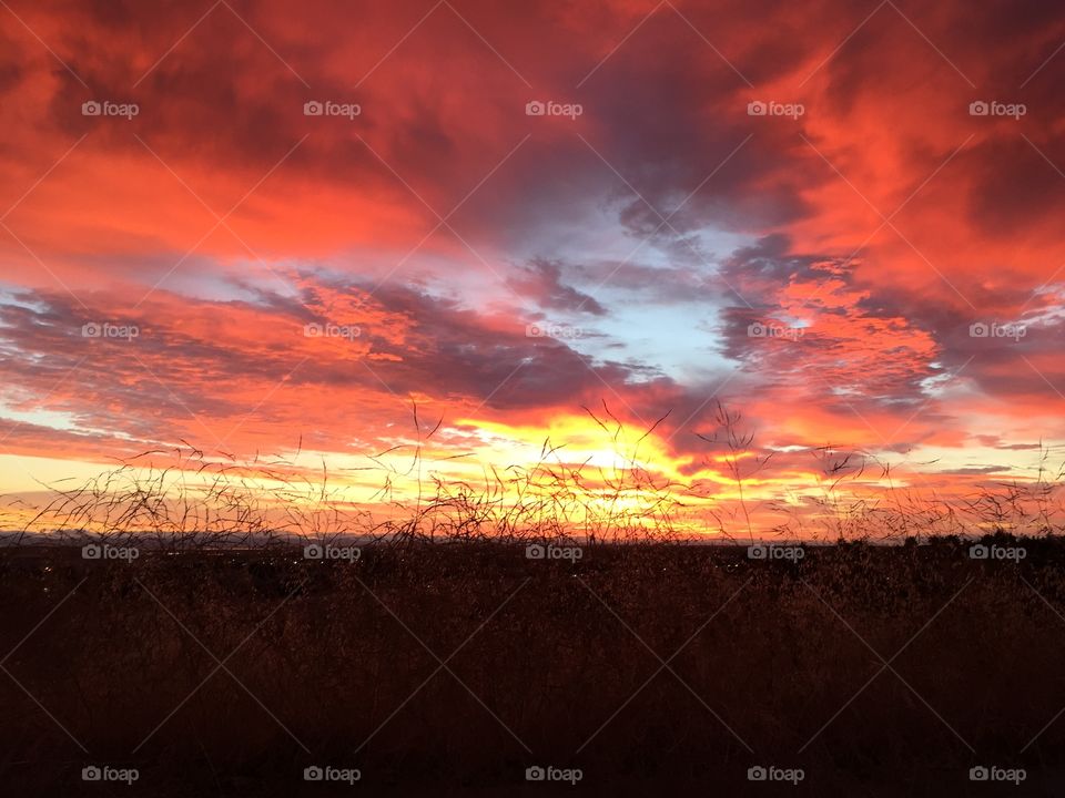 Fire on the Sky. Bright red. Thanks to the dust and pollutants in air.