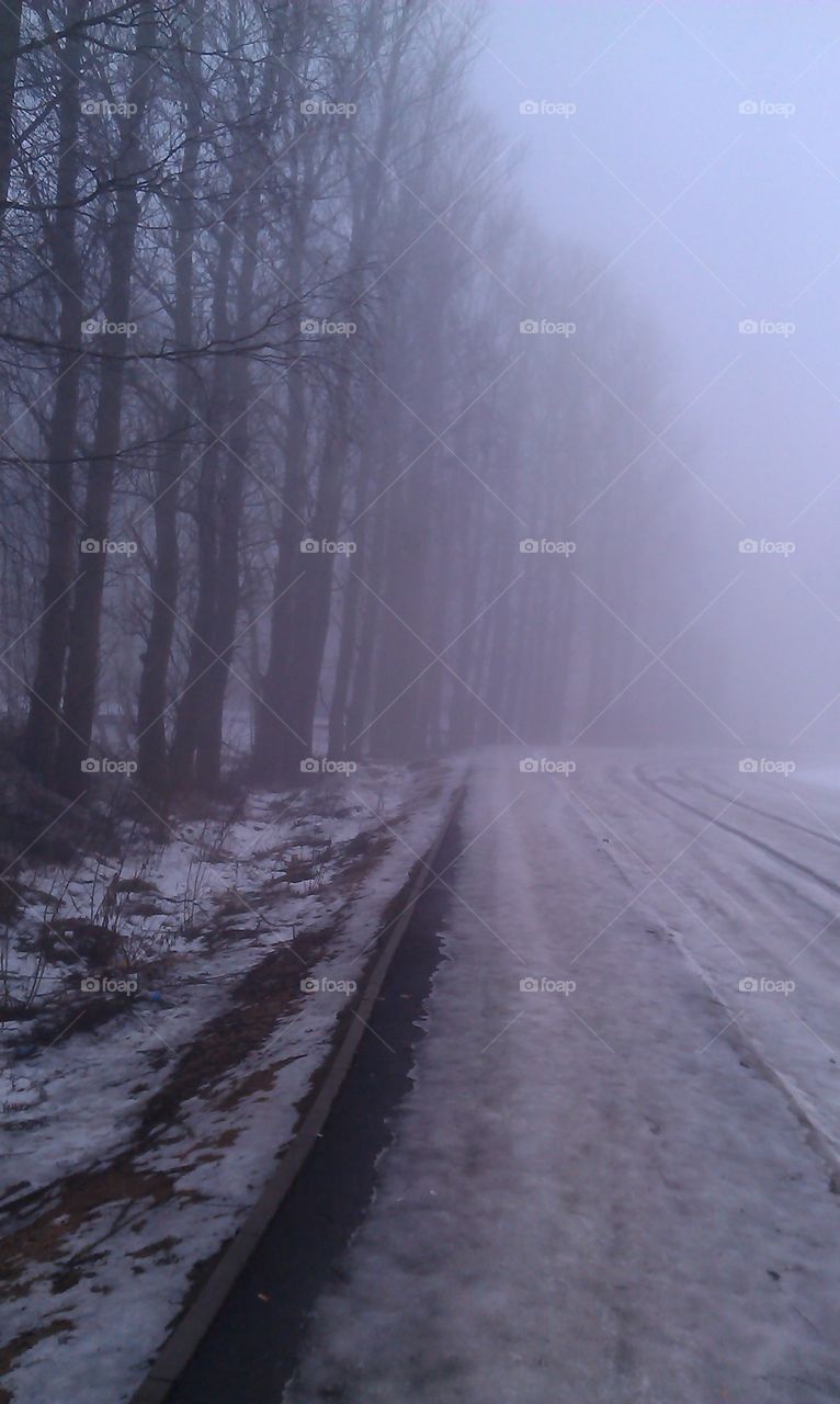 Winter, Snow, Fog, Weather, Landscape
