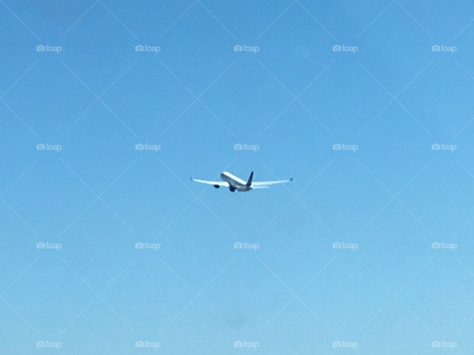 plane just taking off