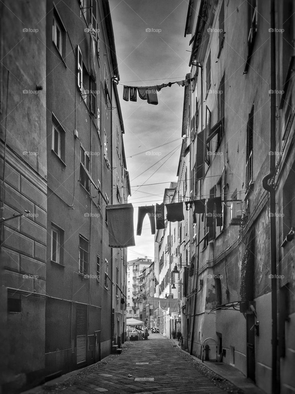 Savona.Old town