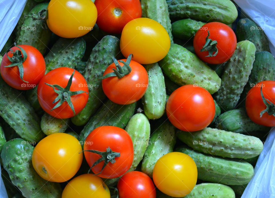 color tomatos