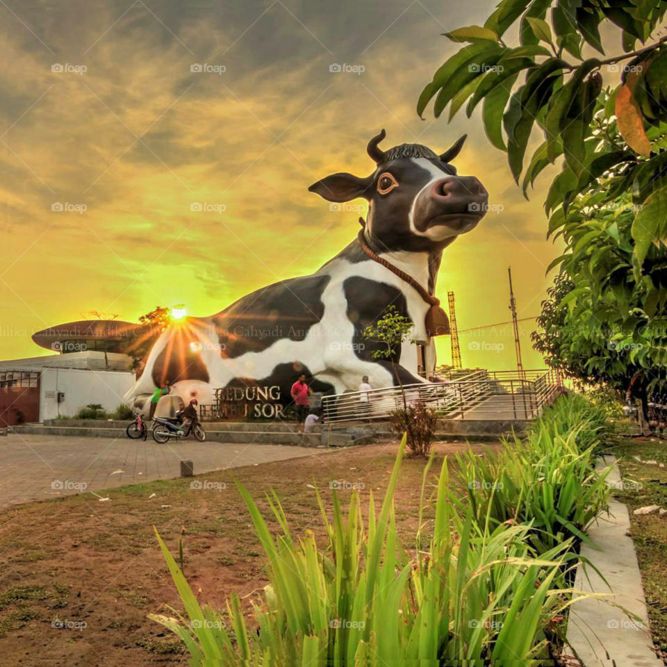 Patung Sapi Boyolali 🐮 Gedung Lembu