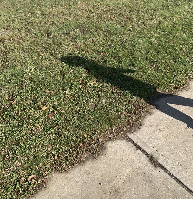 Shadow of a little boy walking to school 