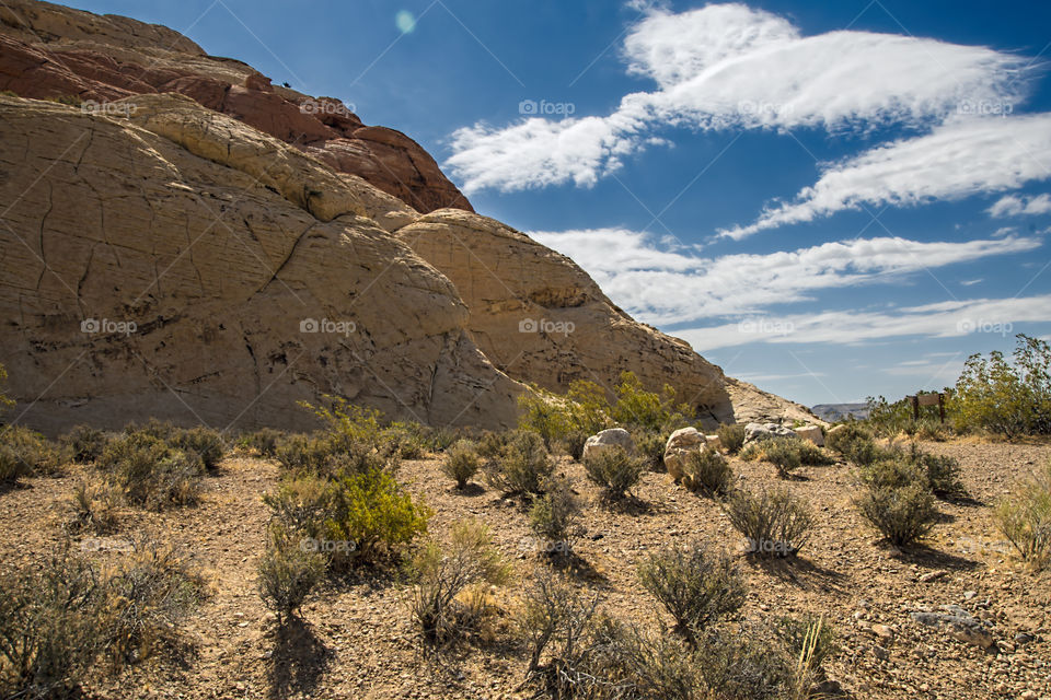 Red Rock Canyon , Mojave Desert , near Las Vegas , Nevada .
 