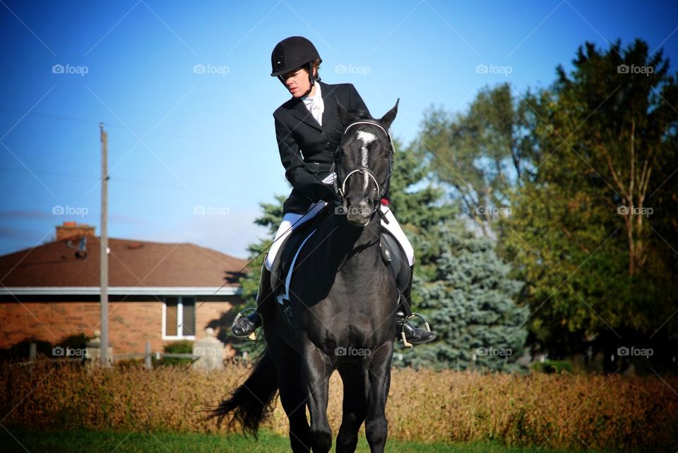 Dressage . A black horse trots toward the camera during a dressage competition