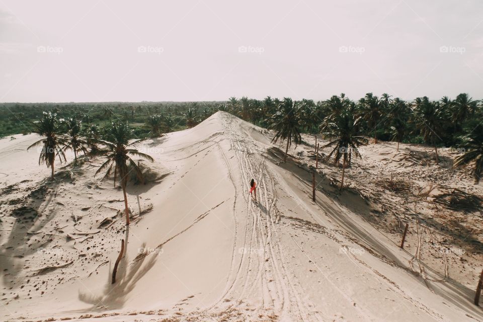 Dunas e coqueiros em Jericoacoara-CE. Linda vista tropical 