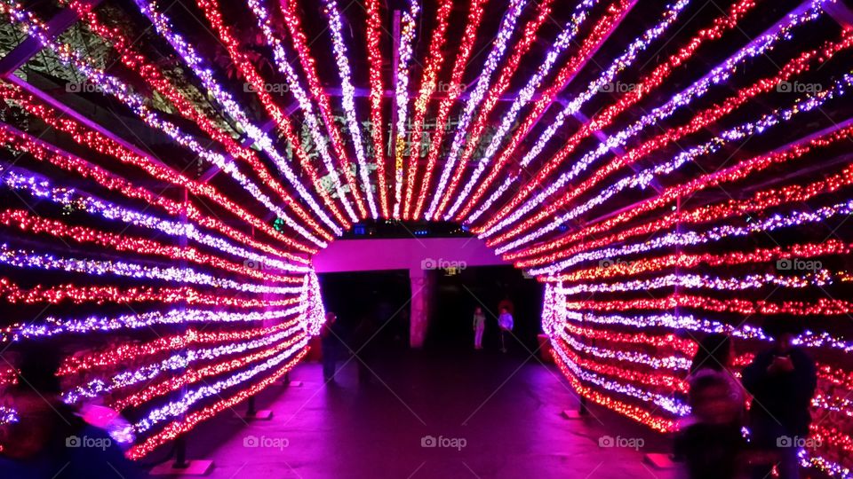 Christmas light tunnel