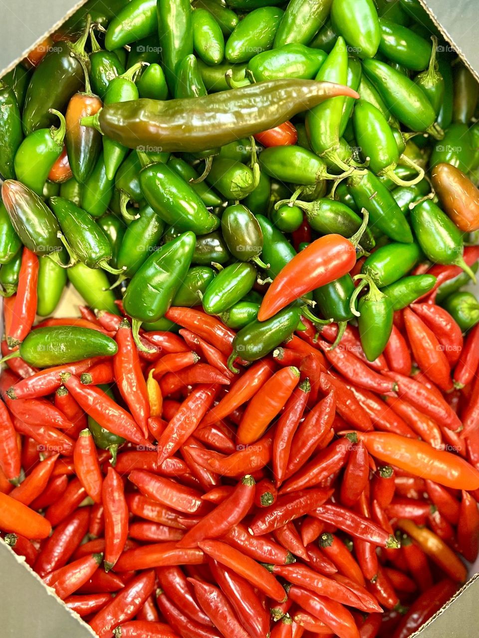 A colorful display of fresh green and red peppers carefully arranged in a cardboard box, displaying the vibrant contrast and variety of these spicy vegetables.