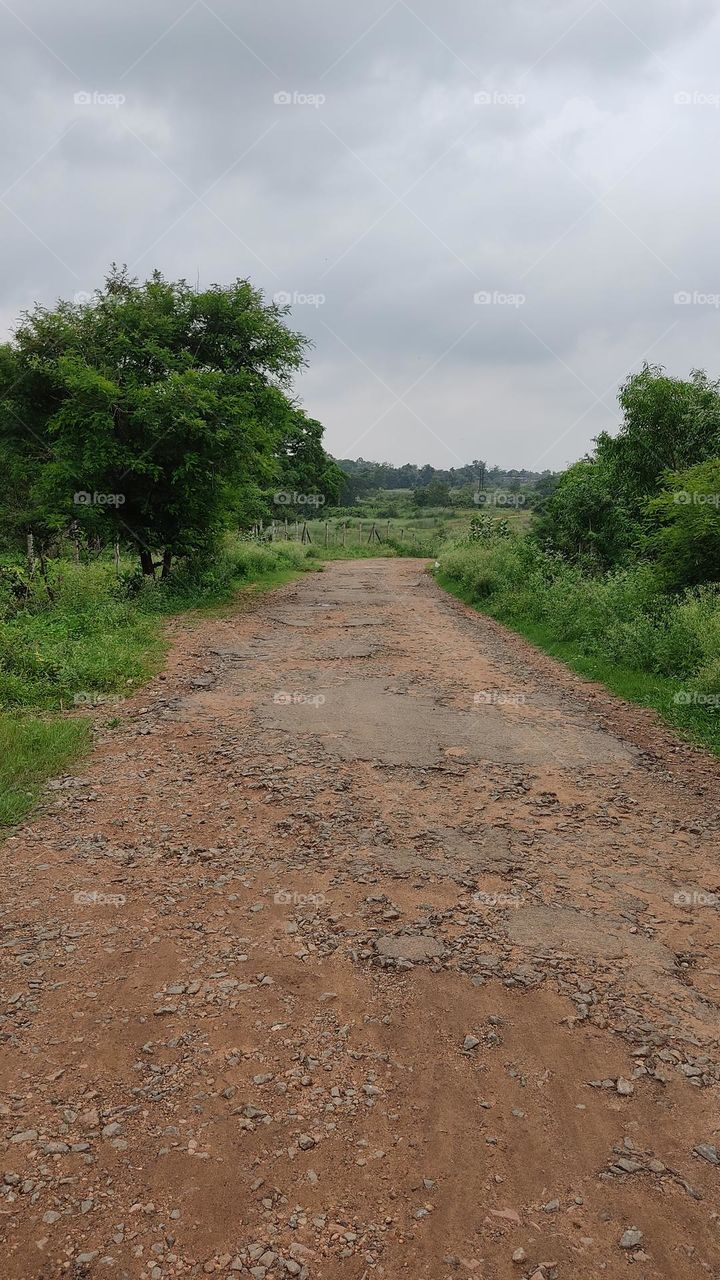 Road leading to remote rural areas.
