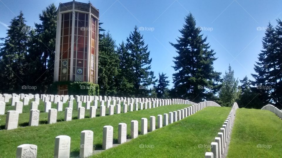 No Person, Outdoors, Grass, Tree, Cemetery