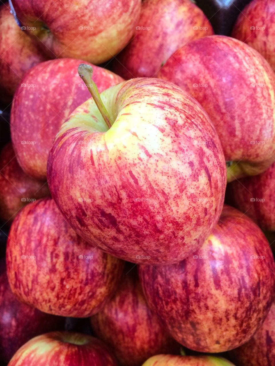Gala apples
