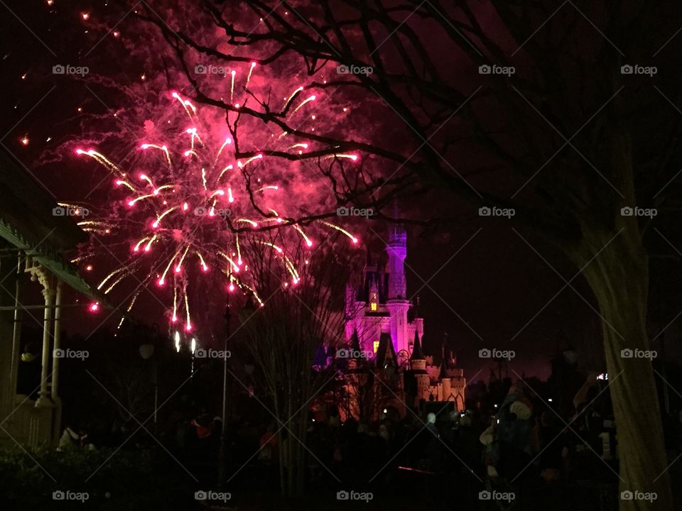 Magic Kingdom Fireworks