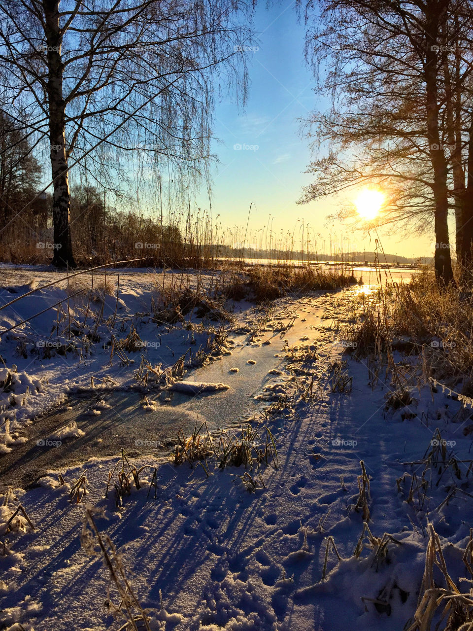 Beautiful morning landscape! 